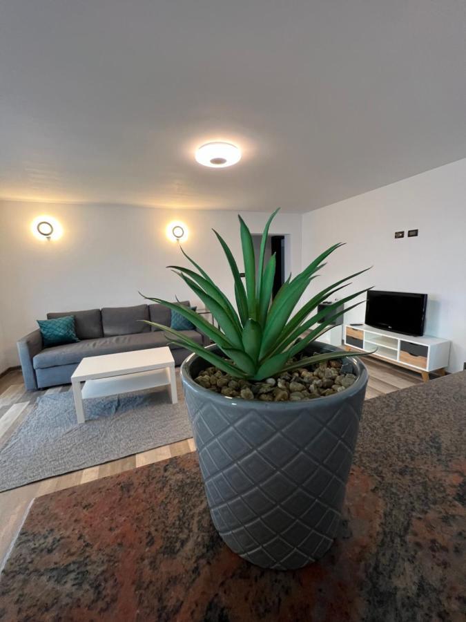 Sunny Luxury Home G. Enescu Suceava Buitenkant foto